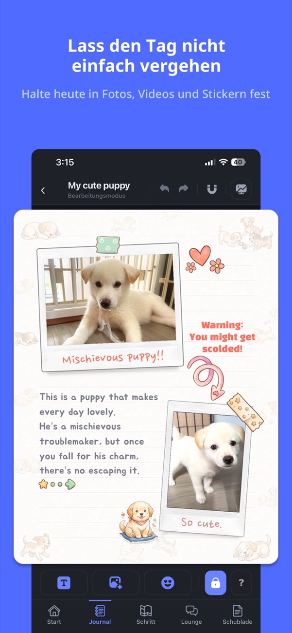 Ein mit Fotos und Stickern gestaltetes Hunde-Log