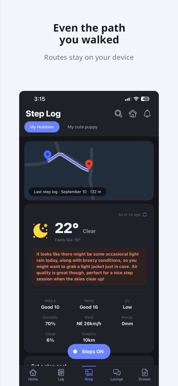 A map with a walked route and a weather briefing