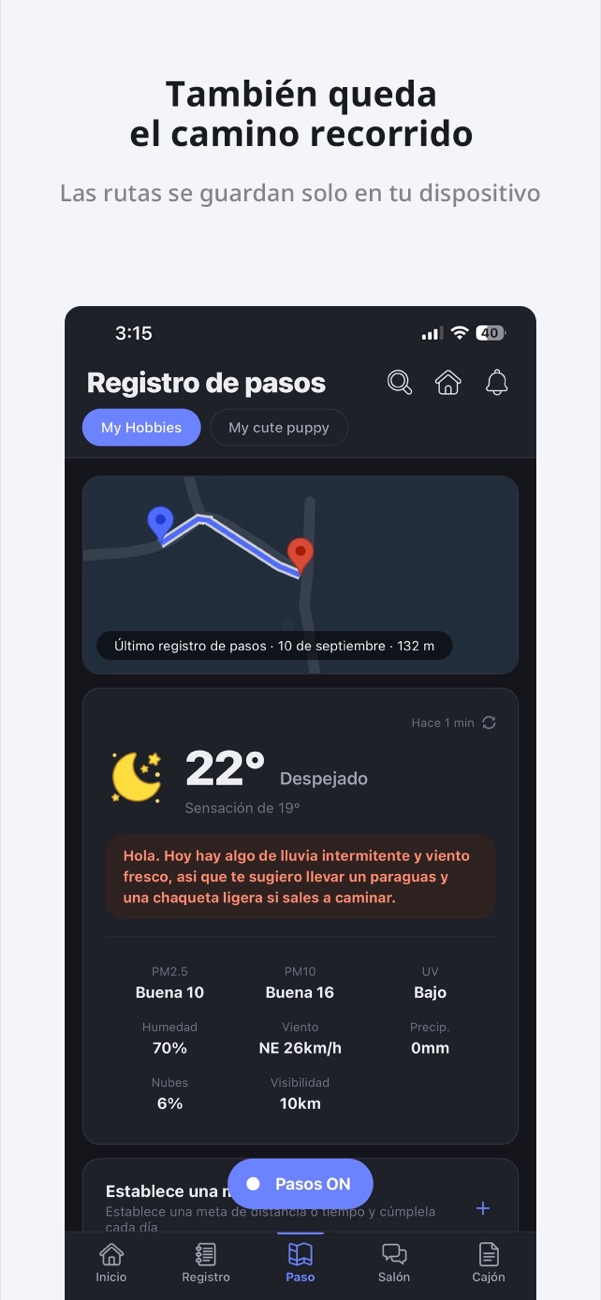 Un mapa con la ruta recorrida y el informe del tiempo