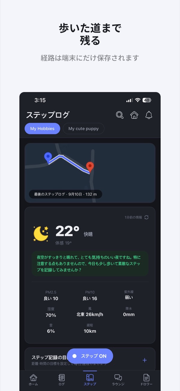 歩いたルートが描かれた地図と天気ブリーフィング画面
