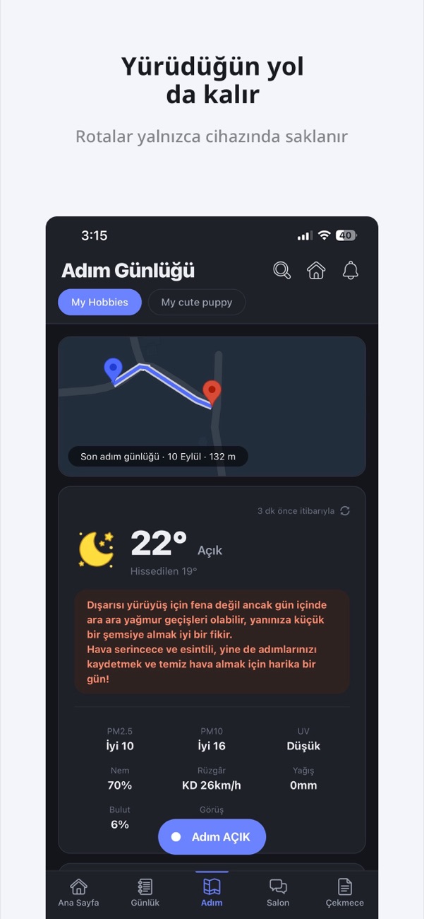 Yürünen rotanın çizildiği harita ve hava durumu özeti